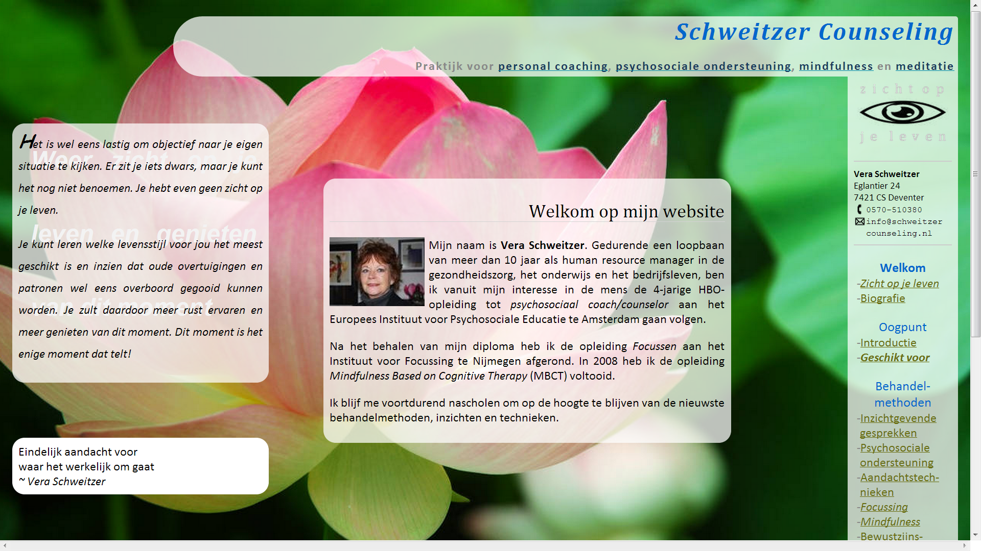 [screenshot www.schweitzercounseling.nl, 2010]